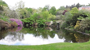 Visit to Hodnet Gardens